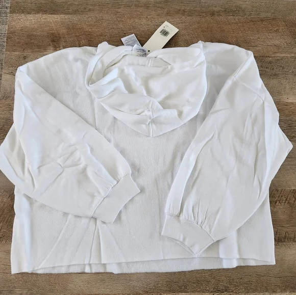 Levi's Women's Cropped Happy Strawberry Prism Hoodie Size 2X - Picture 4 of 11